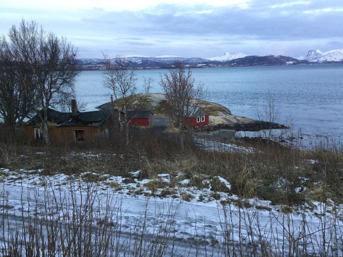 Hotel Camp Saltstraumen-Elvegard Bodø Exteriér fotografie